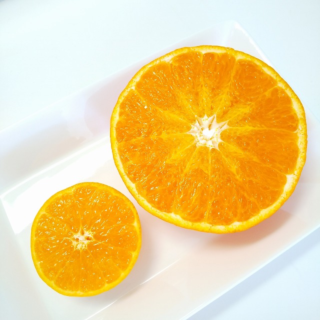 おすすめの尾道みやげ　瀬戸内産の柑橘類